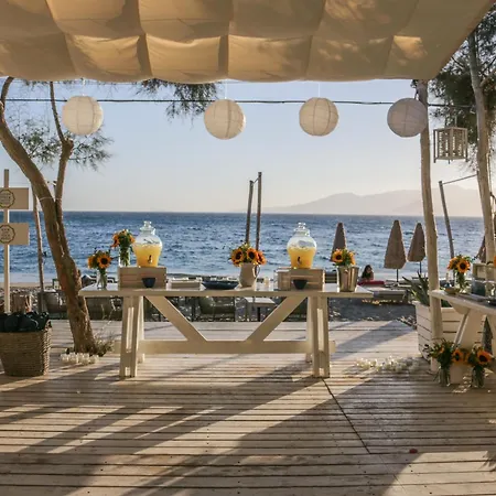Santana Agia Anna (Naxos)
